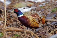 AV8O1300Edited-scaled