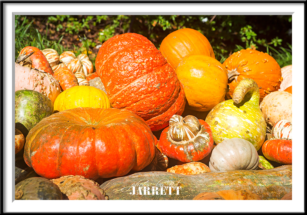 KJ5D2481-FrameShop