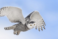 PBKJ9154-Matt-Edited-scaled