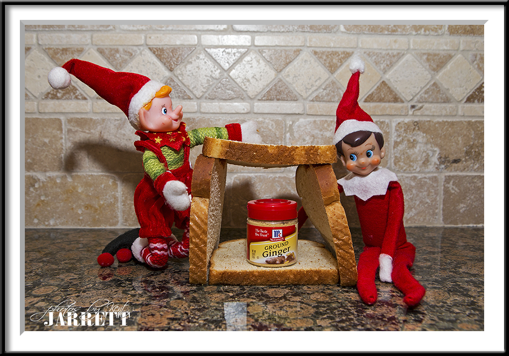 Elf On A Shelf | Kent Jarrett Photography